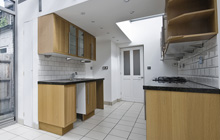 Cliobh kitchen extension leads